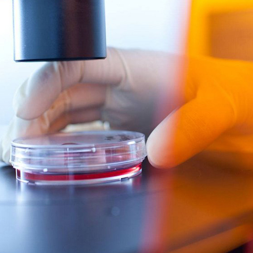 Broncana zastitna folija Amber C s UV zastitom za prozore i staklene povrsine